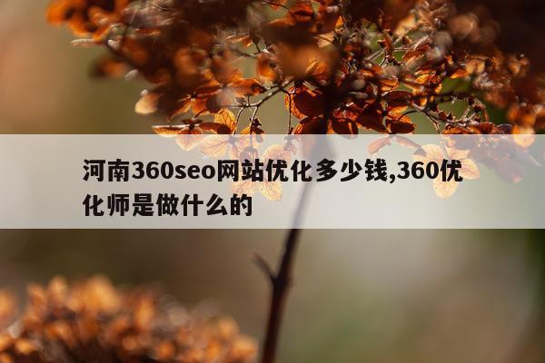 河南360seo网站优化多少钱,360优化师是做什么的
