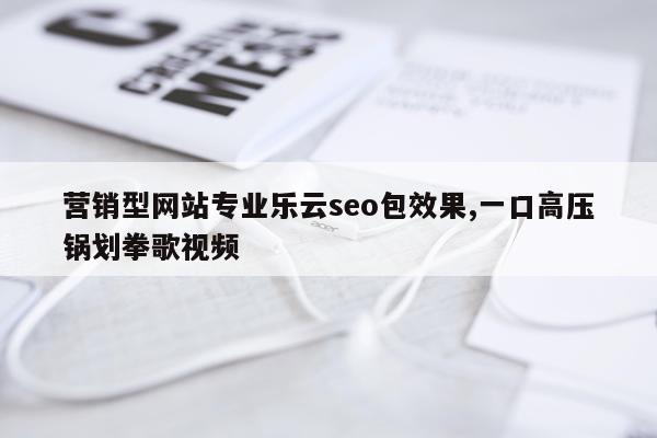 营销型网站专业乐云seo包效果,一口高压锅划拳歌视频