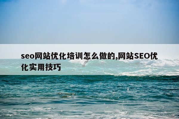seo网站优化培训怎么做的,网站SEO优化实用技巧