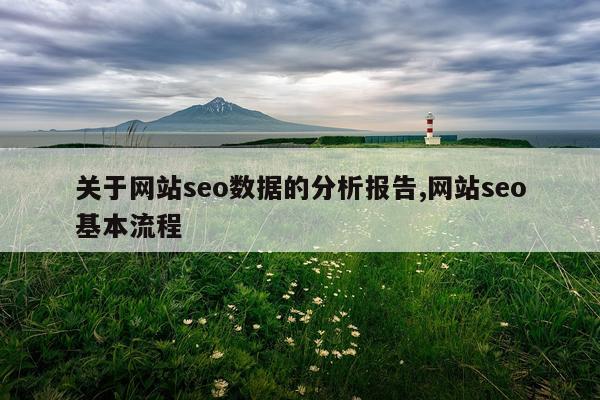 关于网站seo数据的分析报告,网站seo基本流程