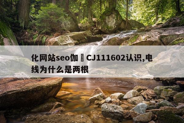 化网站seo伽覣CJ111602认识,电线为什么是两根