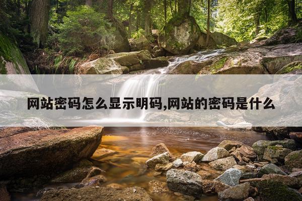 网站密码怎么显示明码,网站的密码是什么