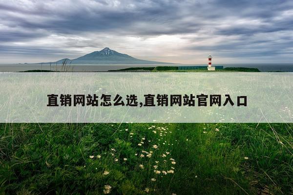 直销网站怎么选,直销网站官网入口