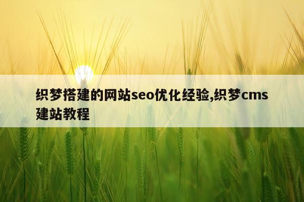 织梦搭建的网站seo优化经验,织梦cms建站教程