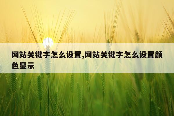 网站关键字怎么设置,网站关键字怎么设置颜色显示