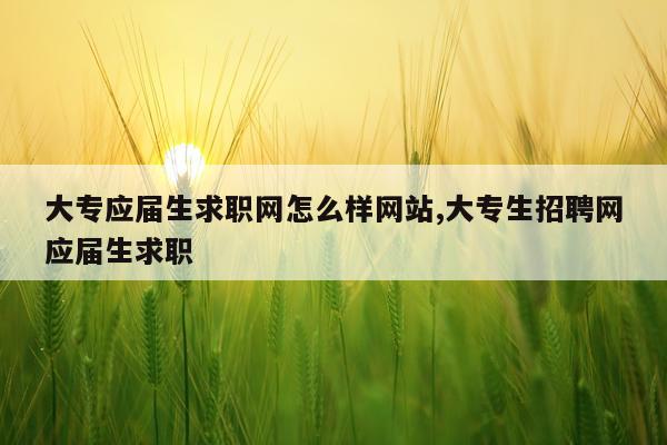 大专应届生求职网怎么样网站,大专生招聘网应届生求职
