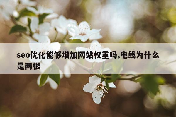 seo优化能够增加网站权重吗,电线为什么是两根