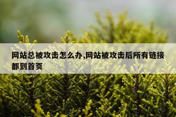 网站总被攻击怎么办,网站被攻击后所有链接都到首页