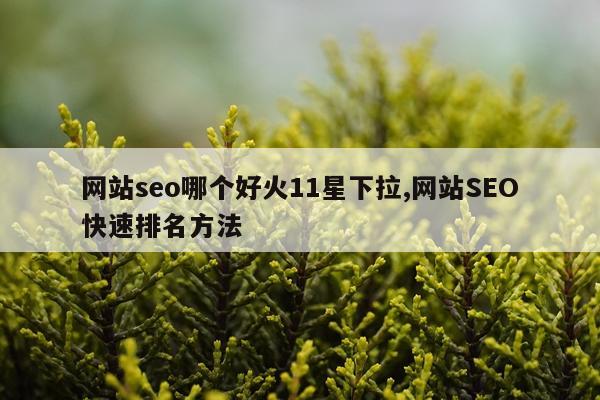 网站seo哪个好火11星下拉,网站SEO快速排名方法