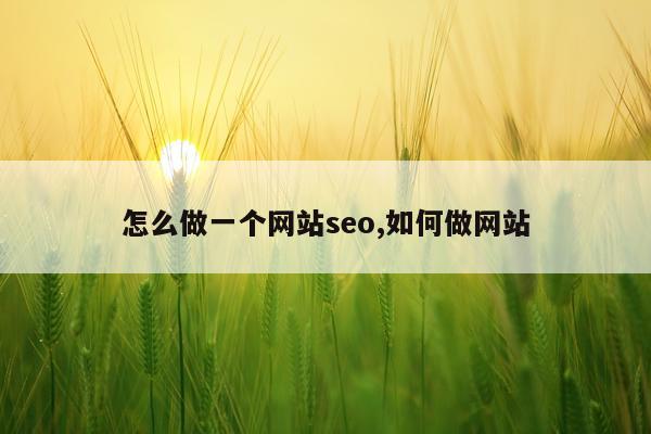 怎么做一个网站seo,如何做网站