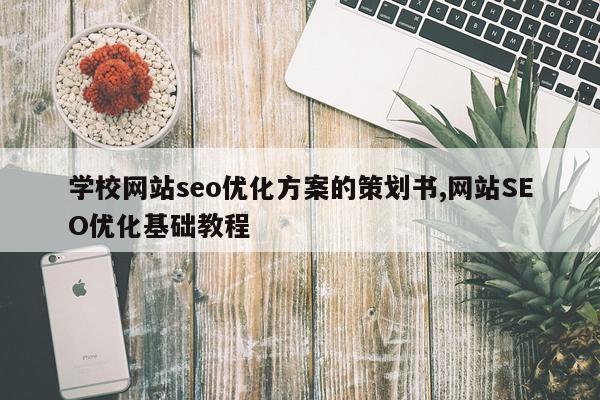 学校网站seo优化方案的策划书,网站SEO优化基础教程