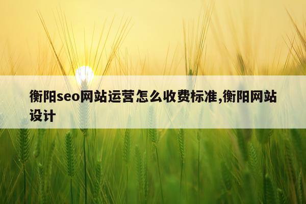 衡阳seo网站运营怎么收费标准,衡阳网站设计