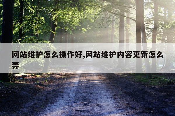 网站维护怎么操作好,网站维护内容更新怎么弄