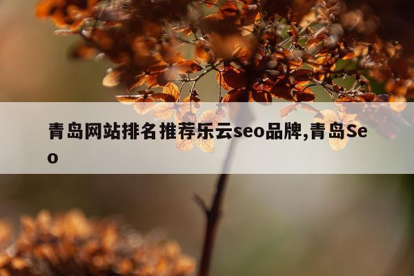 青岛网站排名推荐乐云seo品牌,青岛Seo