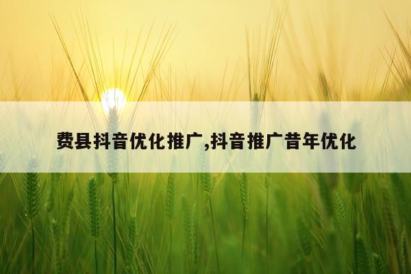 费县抖音优化推广,抖音推广昔年优化