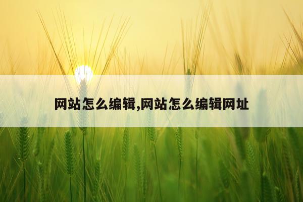 网站怎么编辑,网站怎么编辑网址