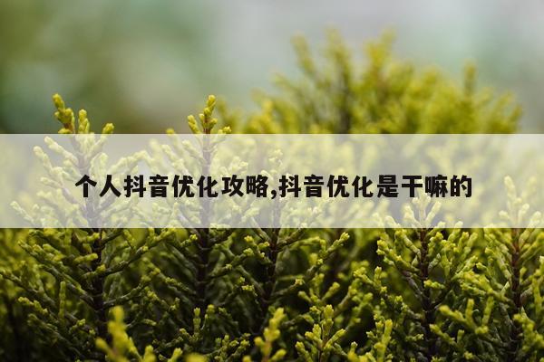 个人抖音优化攻略,抖音优化是干嘛的