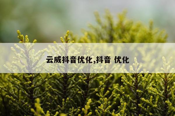 云威抖音优化,抖音 优化