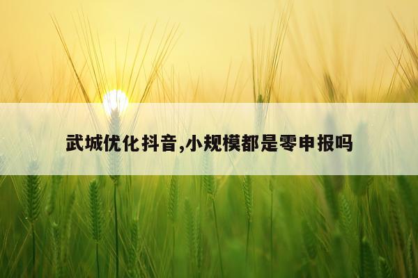 武城优化抖音,小规模都是零申报吗