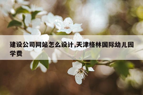 建设公司网站怎么设计,天津格林国际幼儿园学费