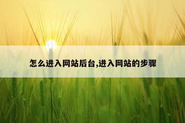 怎么进入网站后台,进入网站的步骤