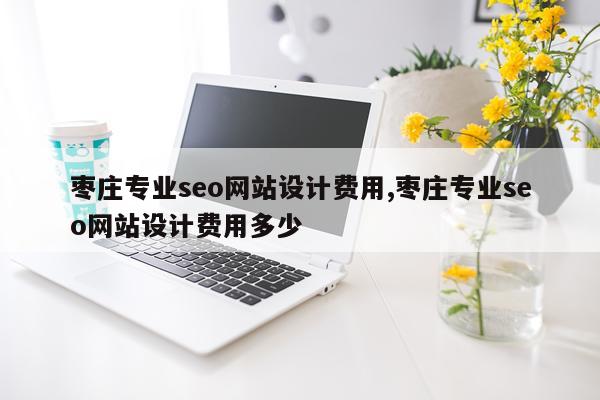 枣庄专业seo网站设计费用,枣庄专业seo网站设计费用多少