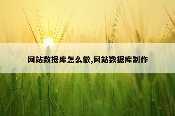 网站数据库怎么做,网站数据库制作