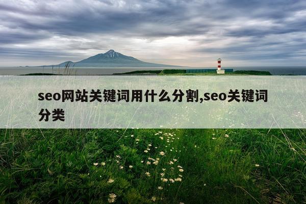 seo网站关键词用什么分割,seo关键词分类