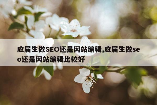 应届生做SEO还是网站编辑,应届生做seo还是网站编辑比较好