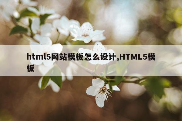 html5网站模板怎么设计,HTML5模板