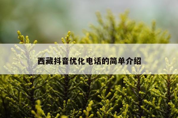 西藏抖音优化电话的简单介绍