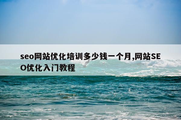 seo网站优化培训多少钱一个月,网站SEO优化入门教程