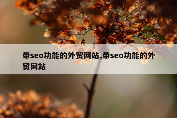 带seo功能的外贸网站,带seo功能的外贸网站