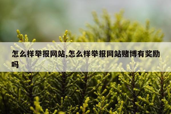 怎么样举报网站,怎么样举报网站赌博有奖励吗