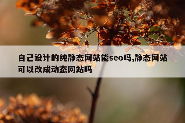 自己设计的纯静态网站能seo吗,静态网站可以改成动态网站吗