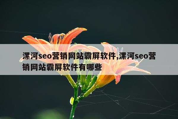 漯河seo营销网站霸屏软件,漯河seo营销网站霸屏软件有哪些