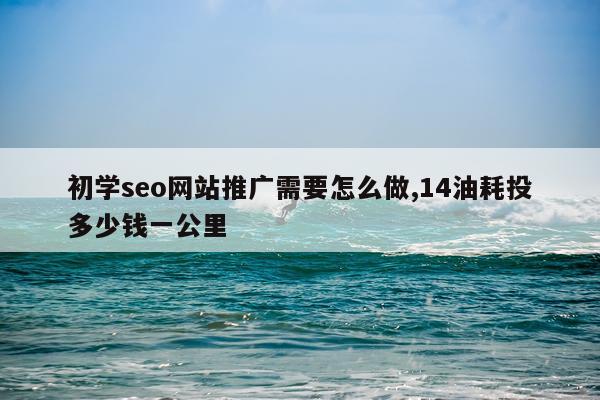 初学seo网站推广需要怎么做,14油耗投多少钱一公里