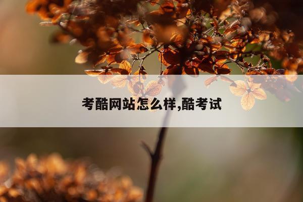 考酷网站怎么样,酷考试