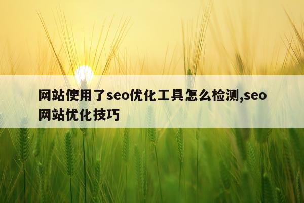 网站使用了seo优化工具怎么检测,seo网站优化技巧