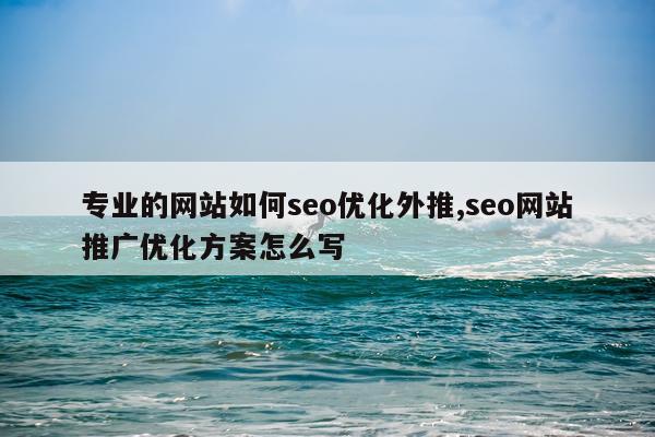 专业的网站如何seo优化外推,seo网站推广优化方案怎么写