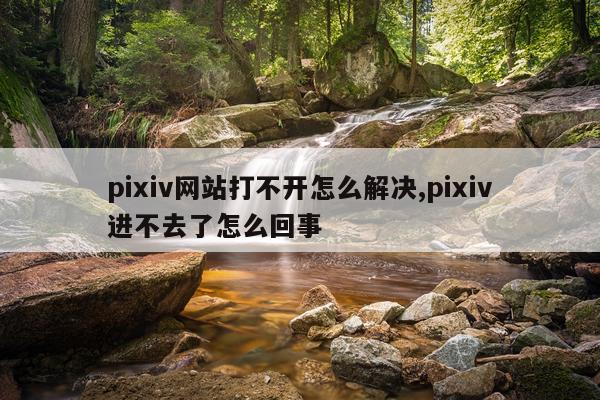 pixiv网站打不开怎么解决,pixiv进不去了怎么回事