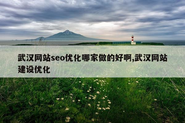 武汉网站seo优化哪家做的好啊,武汉网站建设优化