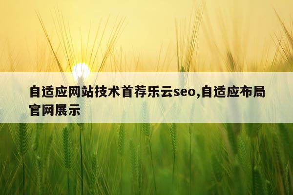 自适应网站技术首荐乐云seo,自适应布局官网展示
