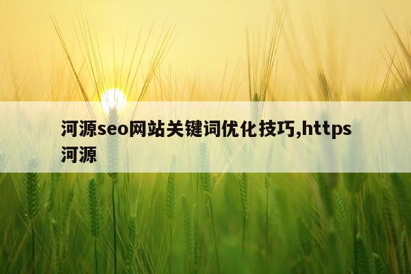 河源seo网站关键词优化技巧,https河源