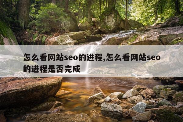 怎么看网站seo的进程,怎么看网站seo的进程是否完成