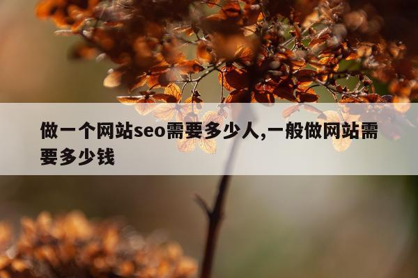 做一个网站seo需要多少人,一般做网站需要多少钱