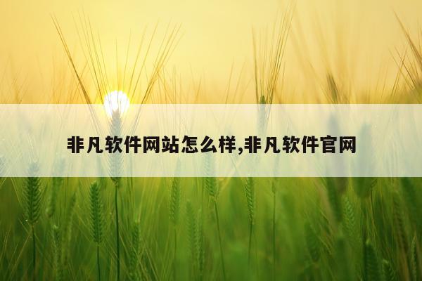 非凡软件网站怎么样,非凡软件官网