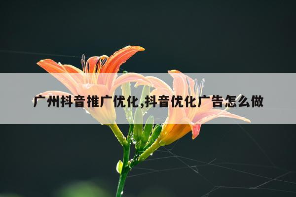 广州抖音推广优化,抖音优化广告怎么做