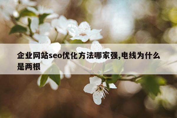 企业网站seo优化方法哪家强,电线为什么是两根