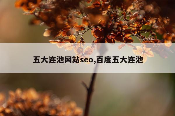 五大连池网站seo,百度五大连池